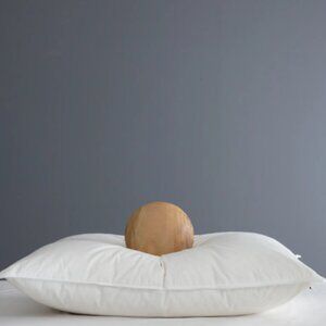 NWT QUINCE LUXE GOOSE DOWN STANDARD PILLOW COTTON MEDIUM / FIRM MSRP $140